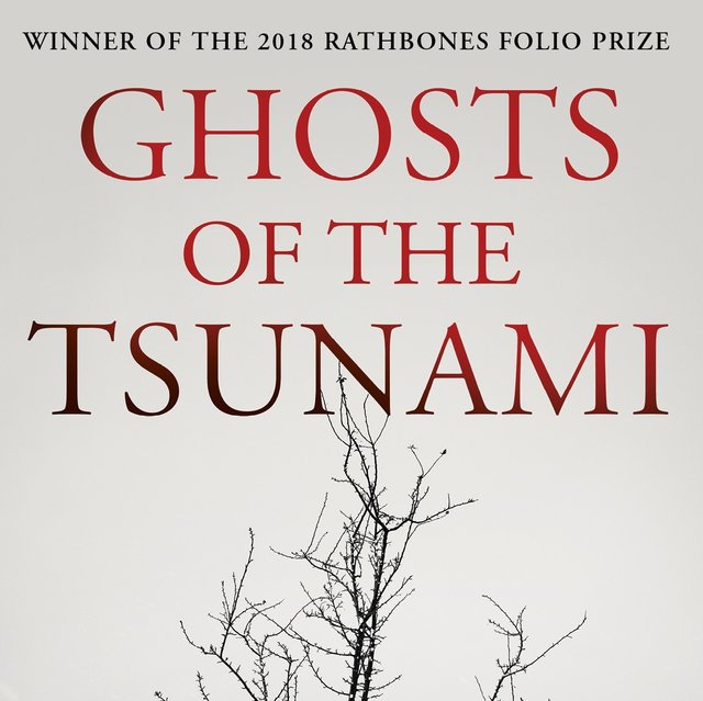 “Ghosts of the Tsunami” by Richard Lloyd Parry