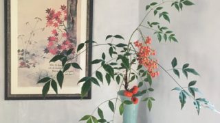 星のいけばな イケバナ（IKEBANA）のススメ | ワシントン・ジャパニーズ・ウィメンズ