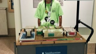 スミソニアン自然史博物館でボランティア | ワシントン スミソニアン自然史博物館でボランティア | ワシントン