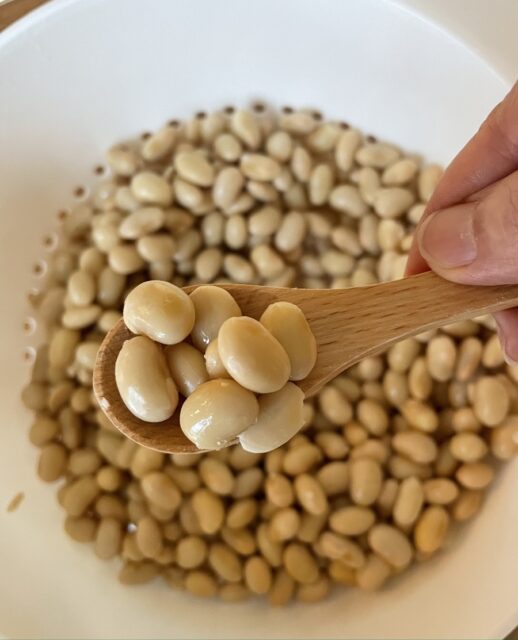 味噌の材料になる大豆