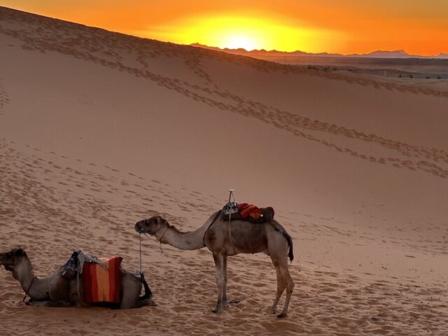 砂漠の夕暮れ